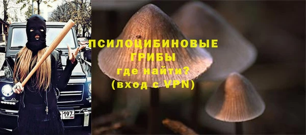 стафф Богородск