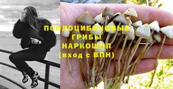 винт Бронницы