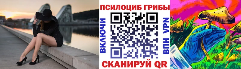 наркота  Краснокаменск  Псилоцибиновые грибы мицелий 